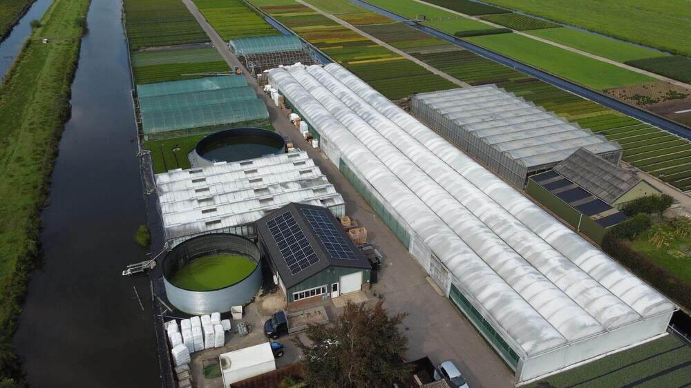 Zonnepanelen tuinbouw Zonnepanelen op bedrijfspand